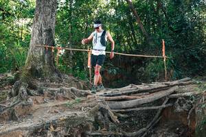 BIB: 
                            <button type="button" onclick="openModal(27752090)" class="btn btn-primary btn-sm float-right btn-popup" data-toggle="modal" data-target=".modal-high-quality">
                        <i class="fas fa-shopping-cart"></i> Add to Cart
                    </button>
                                            <button type="button" onclick="isThisMe(27752090, true)" class="btn btn-success btn-sm float-right btn-popup btn-isme hidden" data-toggle="tooltip" data-placement="bottom" title="นี่คือรูปของคุณใช่ไหม คลิกที่นี่เพื่อเอาเข้าอัลบั้ม">
                        <i class="fas fa-plus"></i> Add to album
                    </button>
                    <button type="button" onclick="isThisMe(27752090, false)" class="btn btn-warning btn-sm float-right btn-popup btn-isnotme hidden">
                        <i class="fas fa-ban"></i> Remove from album
                    </button>